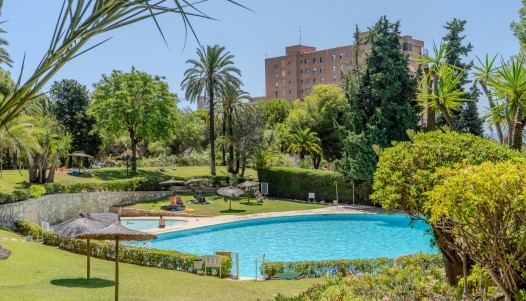 Rynek wtórny - Apartament - Alicante - Playa de la Albufereta