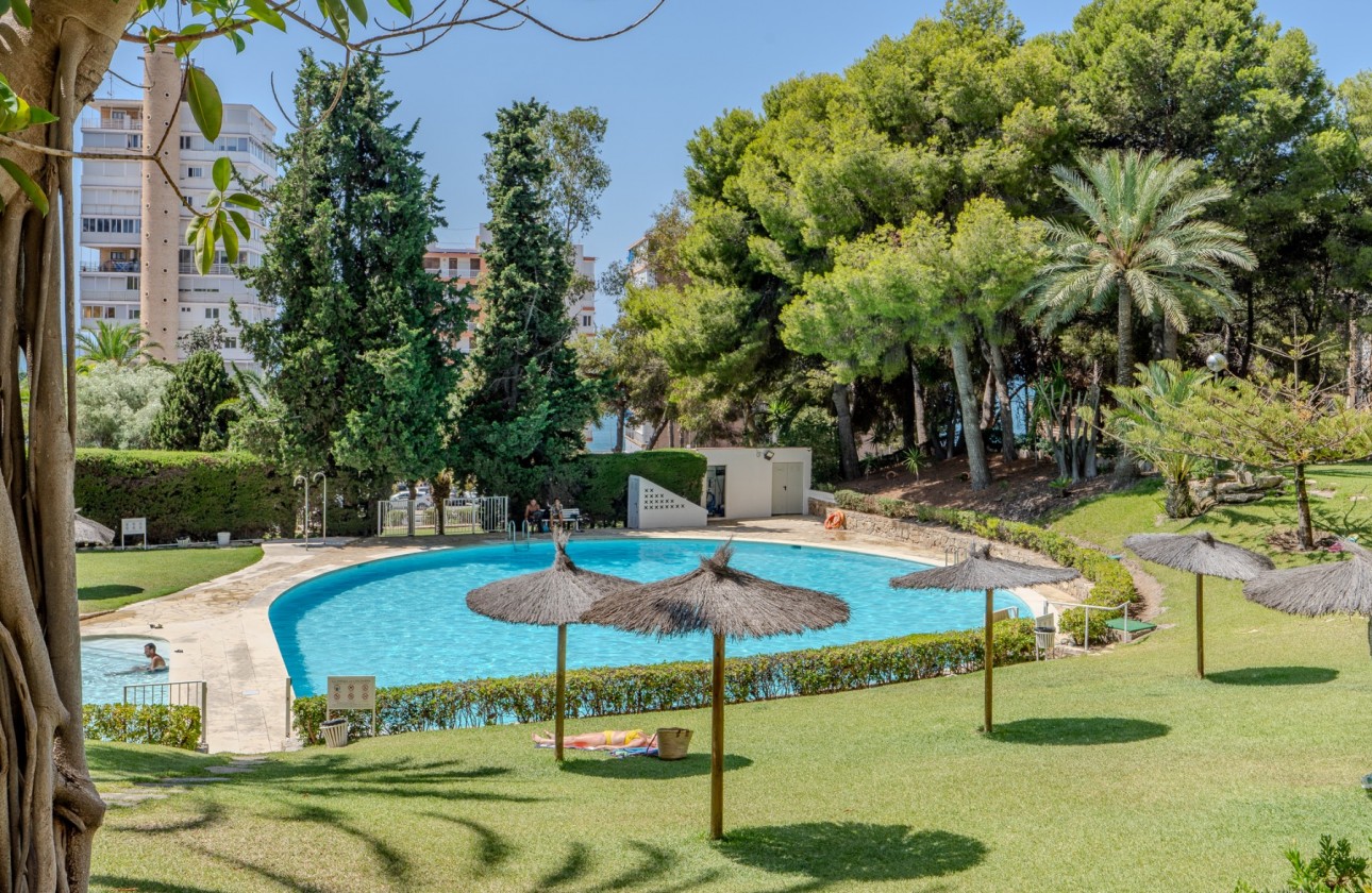 Rynek wtórny - Apartament - Alicante - Playa de la Albufereta