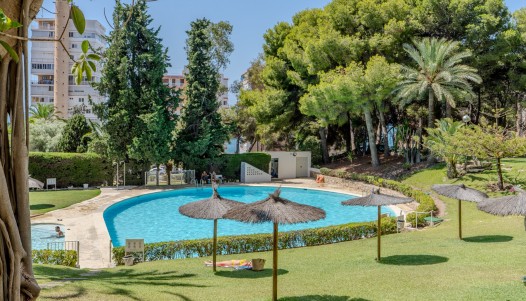 Rynek wtórny - Apartament - Alicante - Playa de la Albufereta