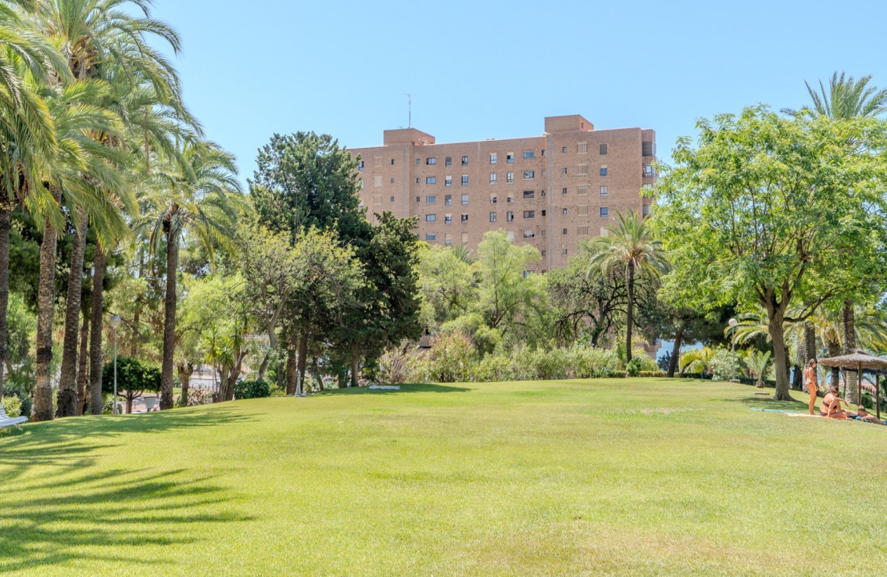 Rynek wtórny - Apartament - Alicante - Playa de la Albufereta