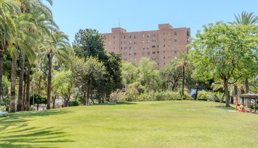 Rynek wtórny - Apartament - Alicante - Playa de la Albufereta