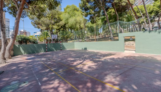 Rynek wtórny - Apartament - Alicante - Playa de la Albufereta