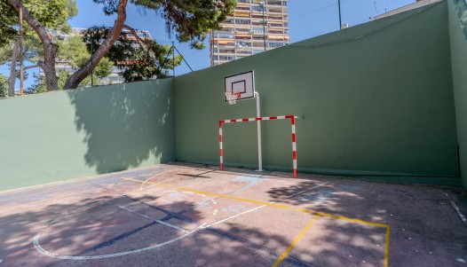 Rynek wtórny - Apartament - Alicante - Playa de la Albufereta