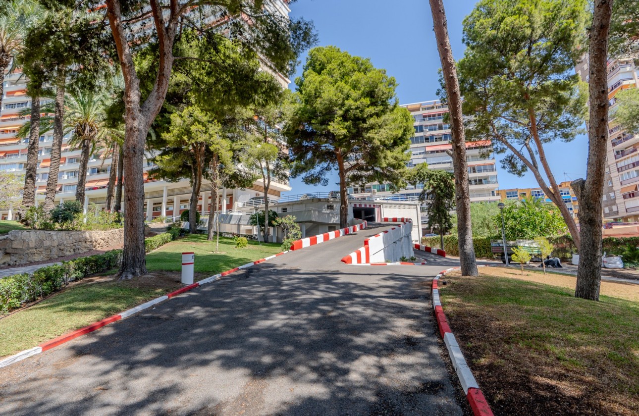 Rynek wtórny - Apartament - Alicante - Playa de la Albufereta