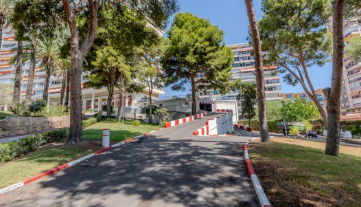 Rynek wtórny - Apartament - Alicante - Playa de la Albufereta