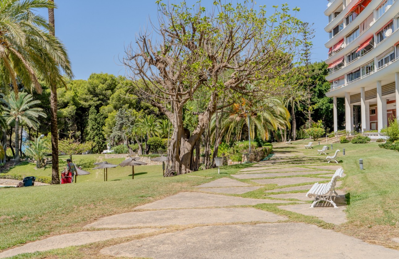 Rynek wtórny - Apartament - Alicante - Playa de la Albufereta