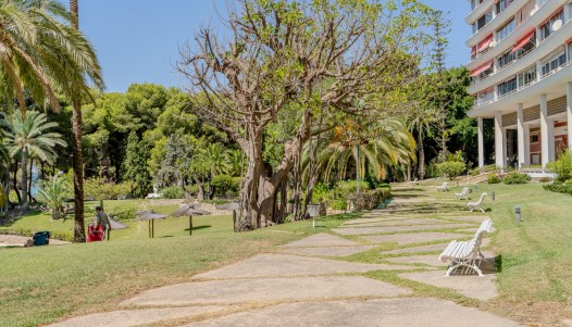 Rynek wtórny - Apartament - Alicante - Playa de la Albufereta