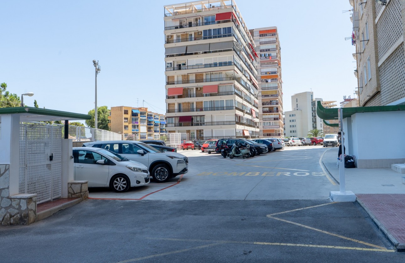 Rynek wtórny - Apartament - Alicante - Playa de la Albufereta