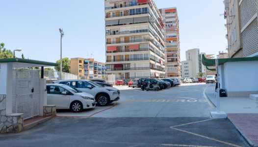 Rynek wtórny - Apartament - Alicante - Playa de la Albufereta