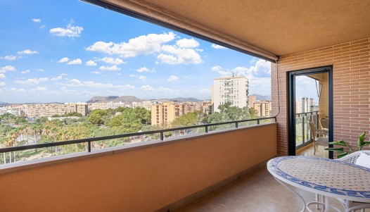 Location longue durée - Apartment - Alicante - Benalúa