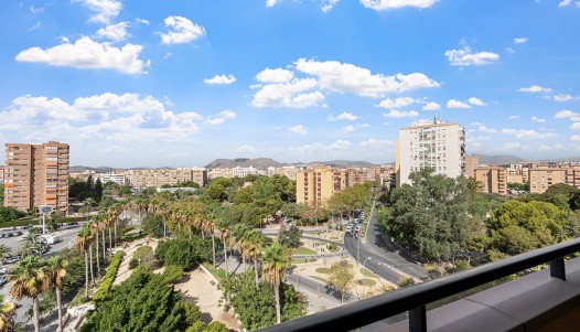 Location longue durée - Apartment - Alicante - Benalúa