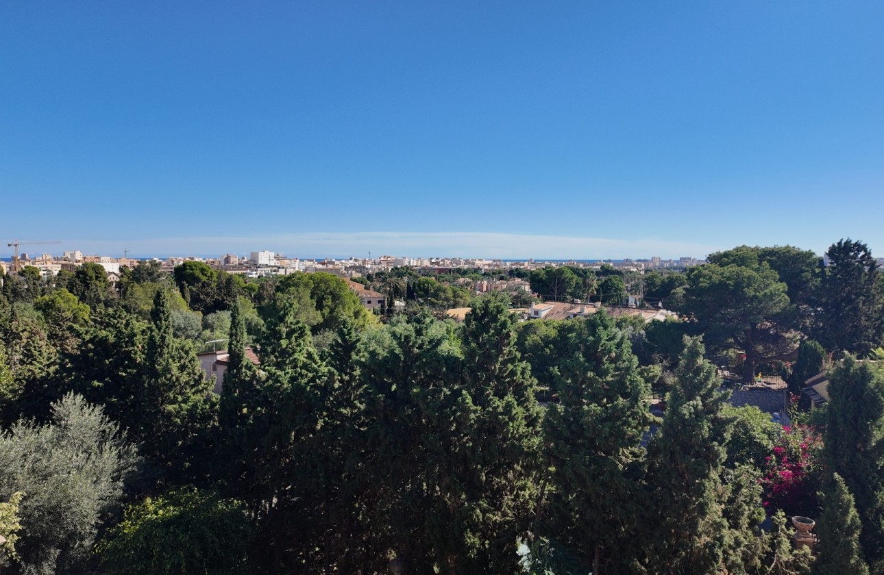 Segunda mano - Bungalow - San Juan de Alicante - Lloixa