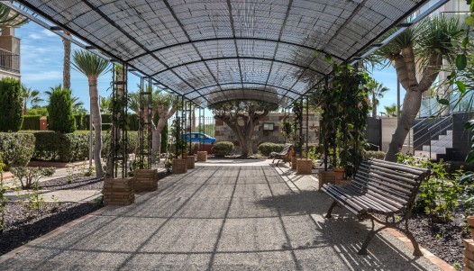 Resale - Penthouse - Orihuela Costa - Lomas De Cabo Roig