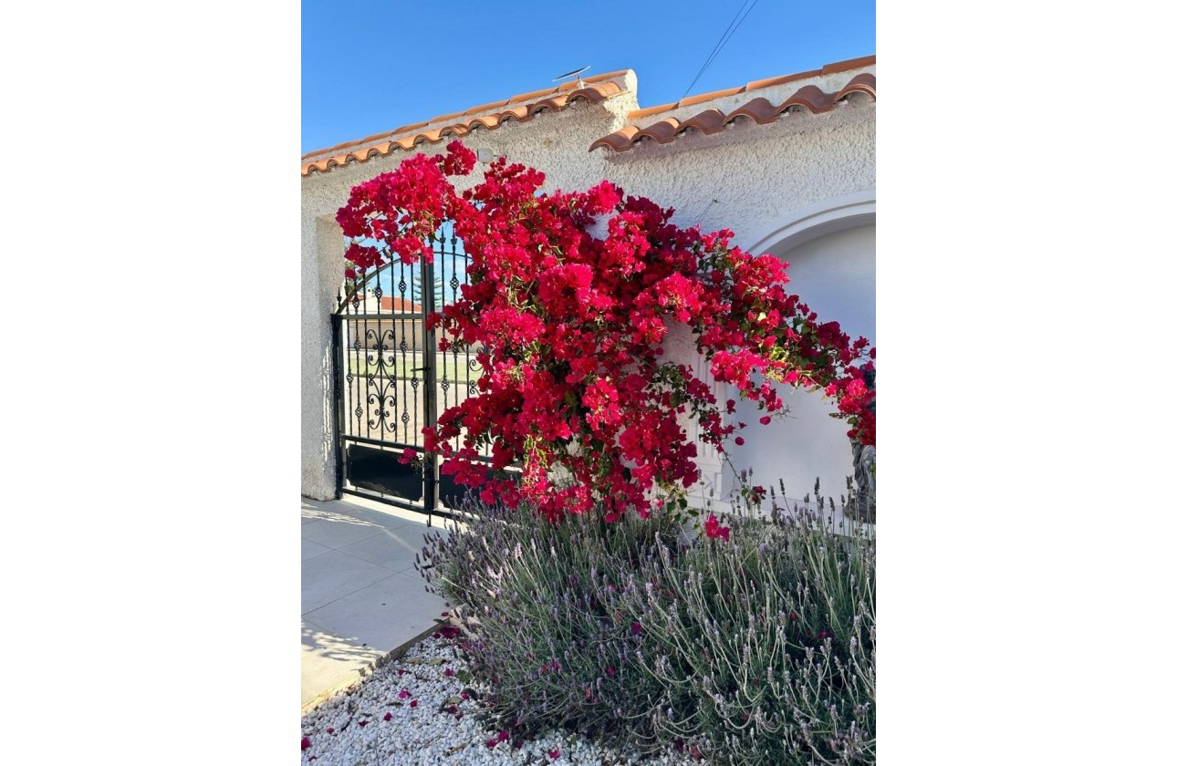 Brukte Boliger - Villa - Torrevieja - San Luis