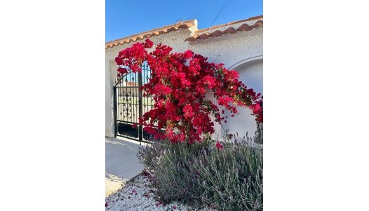 Brukte Boliger - Villa - Torrevieja - San Luis