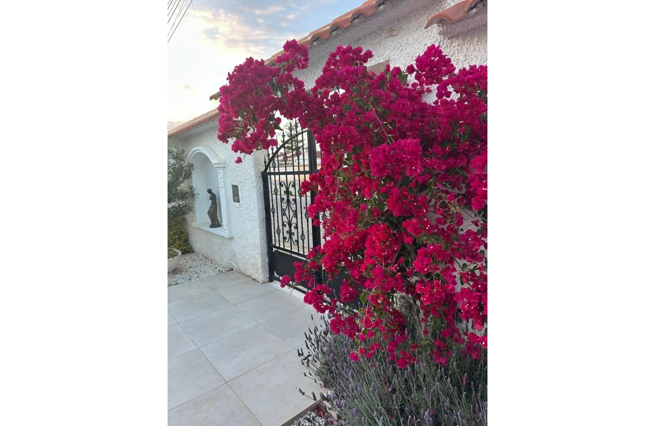 Brukte Boliger - Villa - Torrevieja - San Luis