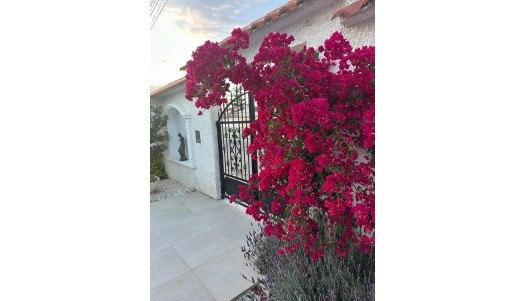 Brukte Boliger - Villa - Torrevieja - San Luis