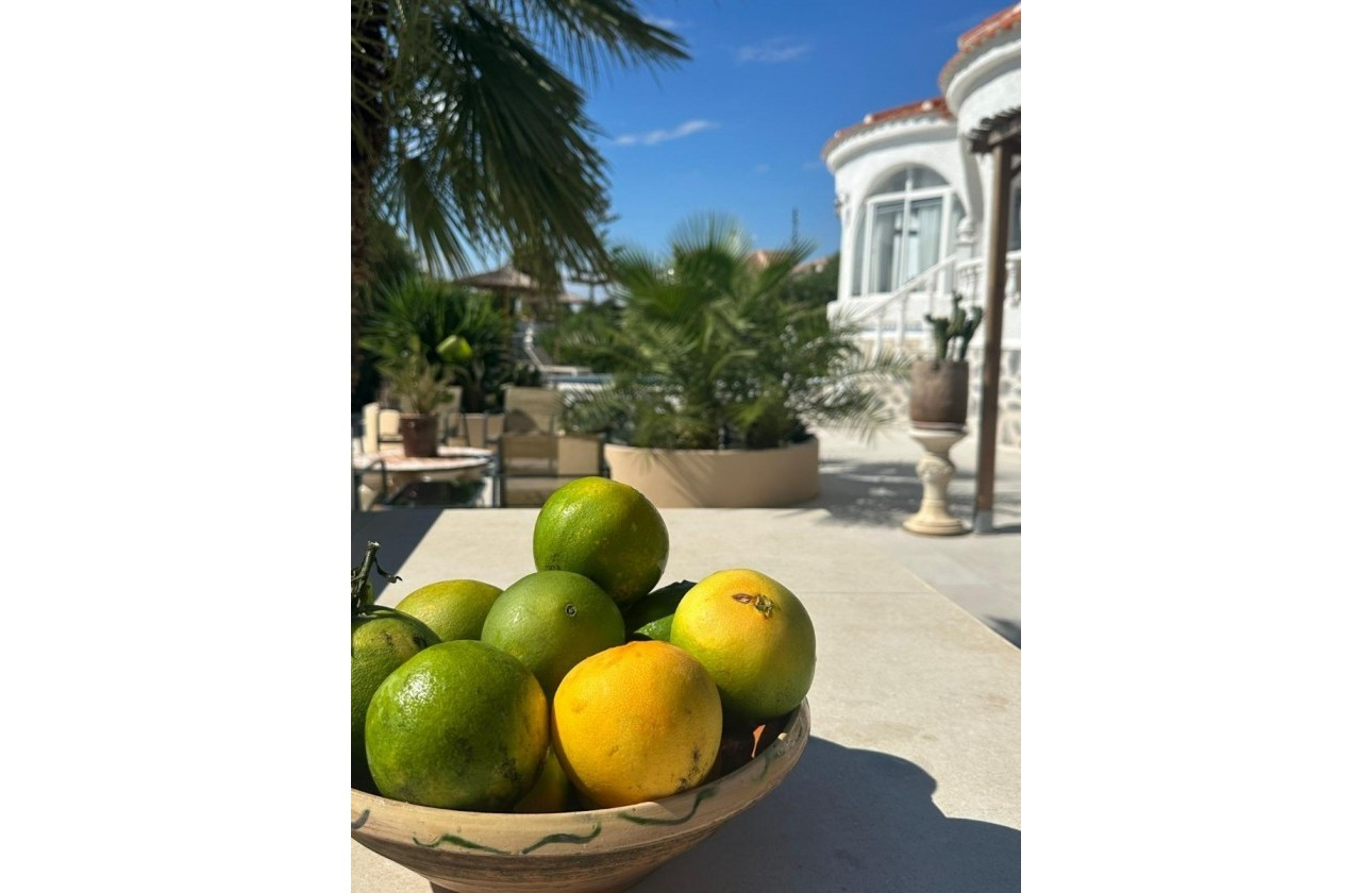 Brukte Boliger - Villa - Torrevieja - San Luis