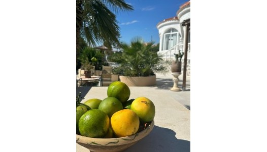 Brukte Boliger - Villa - Torrevieja - San Luis