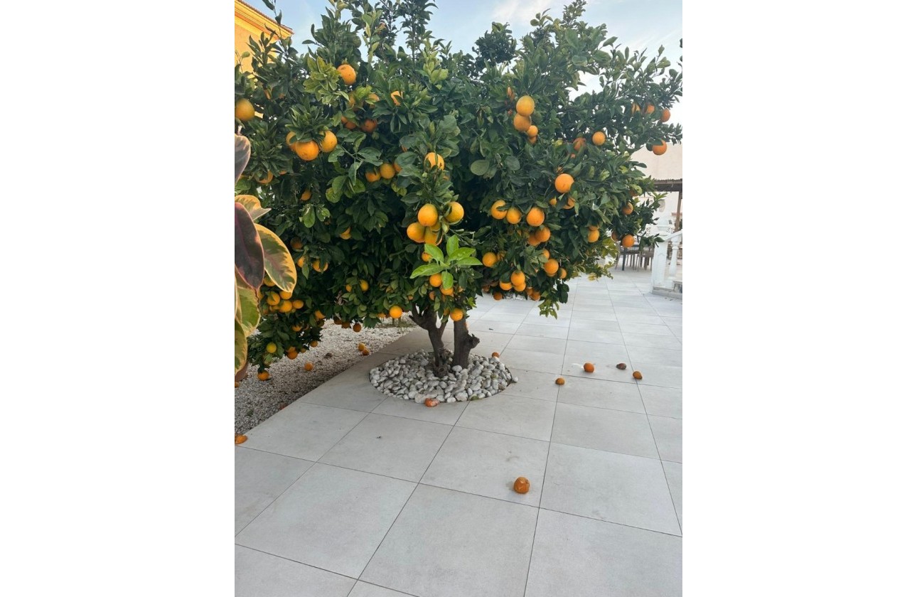 Brukte Boliger - Villa - Torrevieja - San Luis