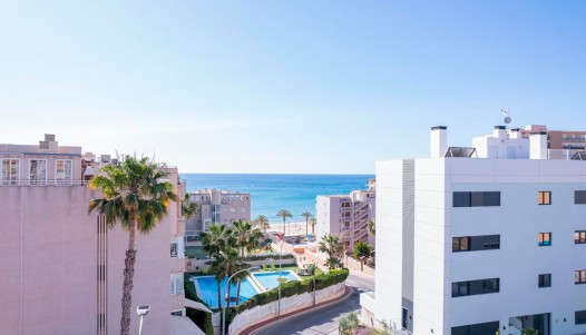 New Build - Apartment - El Campello - Playa Muchavista