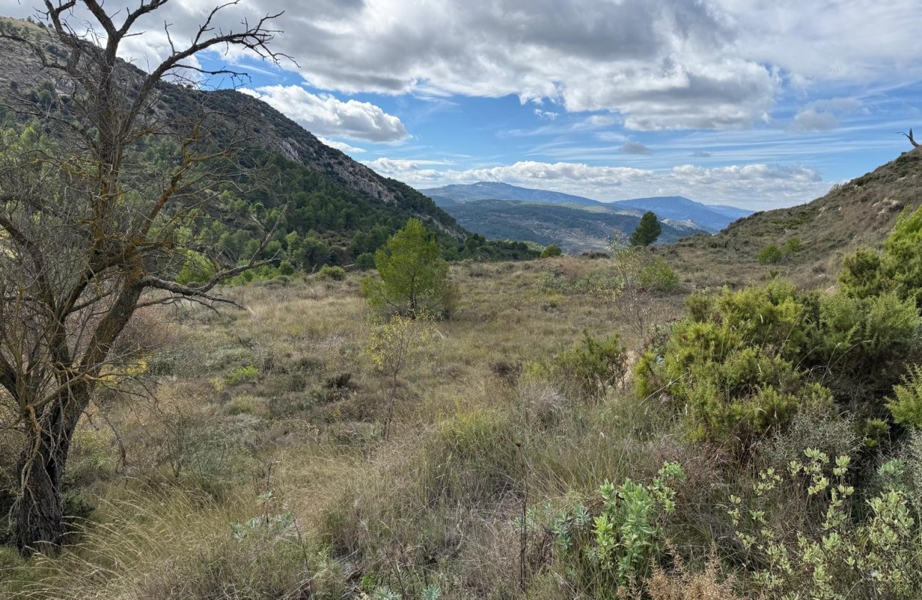 Resale - Plot - Confrides - Barranc de Xarquera