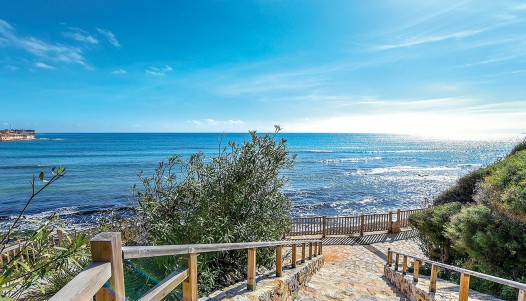 New Build - Apartment - Torrevieja - Aguas Nuevas 