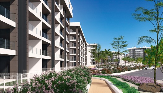 New Build - Penthouse - Torrevieja - Aguas Nuevas 