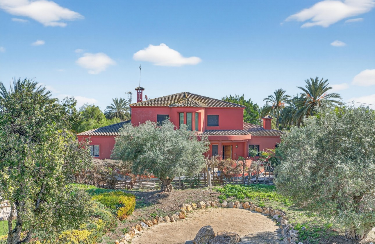 Rynek wtórny -  - Elche