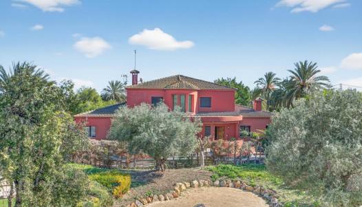 Rynek wtórny -  - Elche