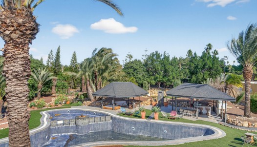 Rynek wtórny -  - Elche