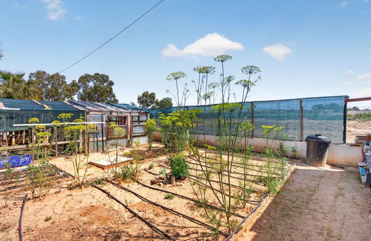 Resale - Villa - El Altet - San Francisco de Asis