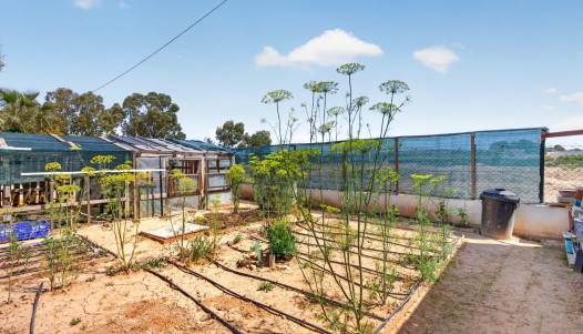 Resale - Villa - El Altet - San Francisco de Asis