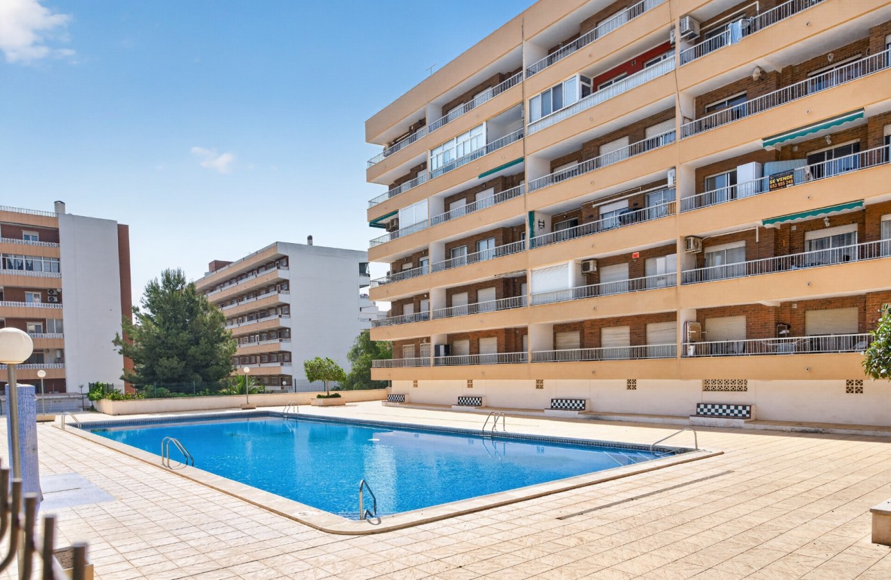 Resale - Penthouse - Orihuela Costa - Punta Prima