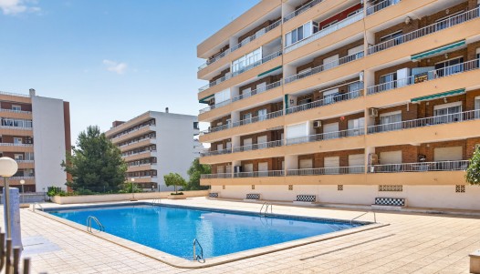 Resale - Penthouse - Orihuela Costa - Punta Prima