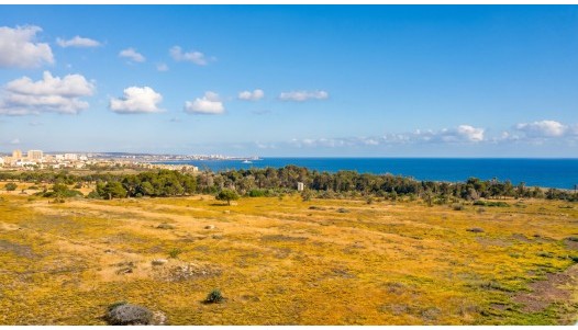 Resale - Penthouse - Orihuela Costa - Punta Prima