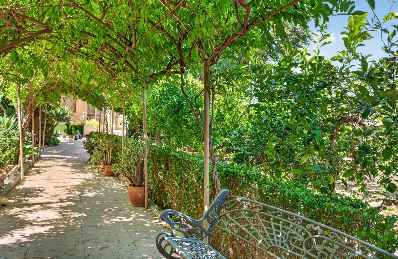 Resale - Villa - Orihuela - Orihuela Center