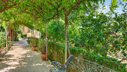 Resale - Villa - Orihuela - Orihuela Center