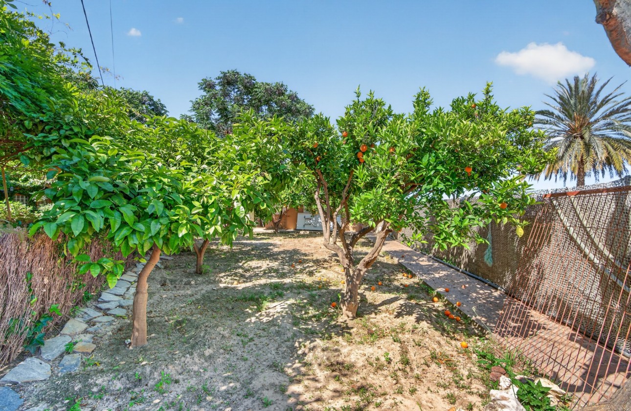 Resale - Villa - Orihuela - Orihuela Center