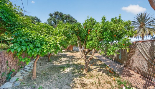 Resale - Villa - Orihuela - Orihuela Center