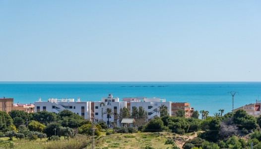 Nouvelle construction - Apartment - Guardamar del Segura - Playa de el moncayo